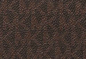 ブラウン/エイコーン