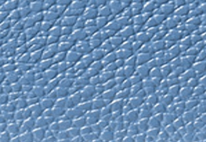 フレンチブルー