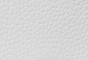 オプティックホワイト