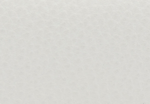 オプティックホワイト