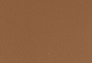 バニラ/エイコーン