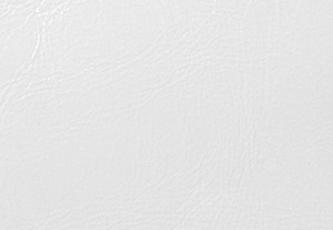 オプティックホワイト