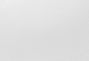 オプティックホワイト