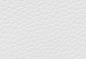 オプティックホワイト