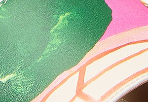 ブライトピンクマルチ