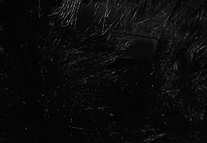 ブラック/ブラック