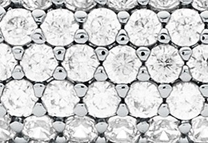 シルバーグリッツ