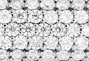 シルバーグリッツ