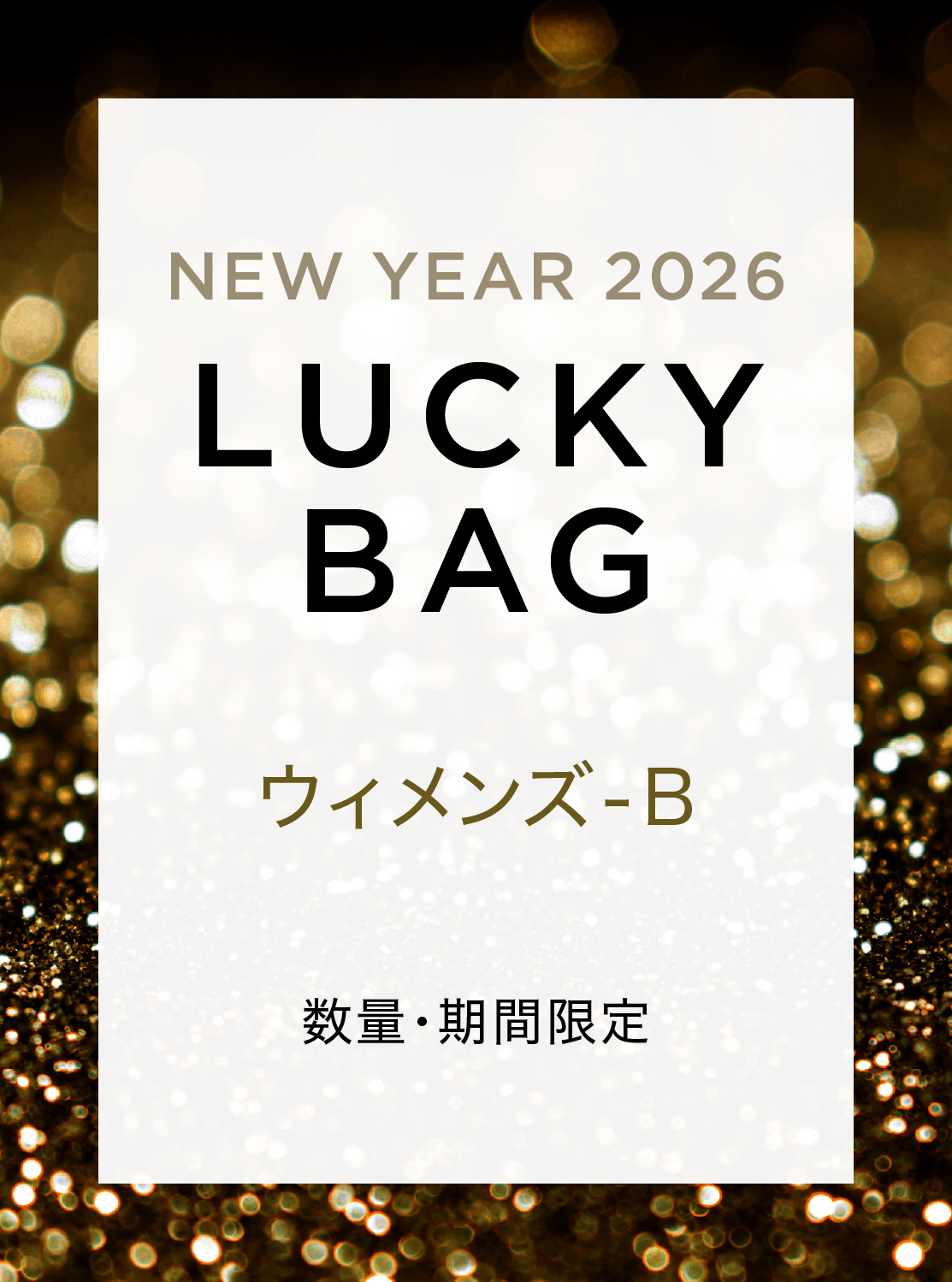 UA LUCKYBAG 福袋 2026 ウィメンズ XL Lucky Bag 2026] Wait, it's